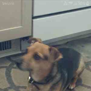 Meet your Posher, Carolyn